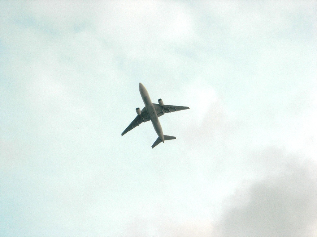 a0045688_2385934.jpg