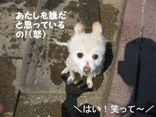 e0121589_1804858.jpg