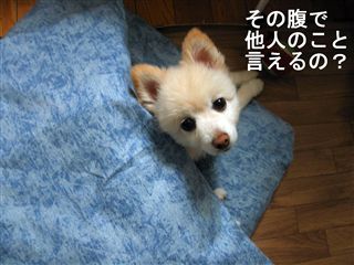 e0121589_1882971.jpg