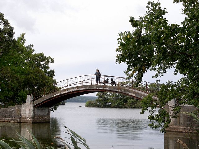 a0093592_12291413.jpg
