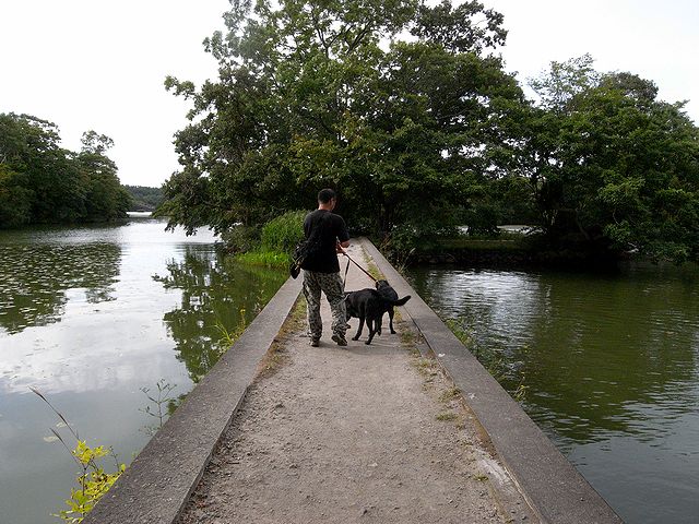 a0093592_12334434.jpg