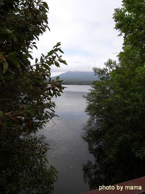 a0093592_12412936.jpg
