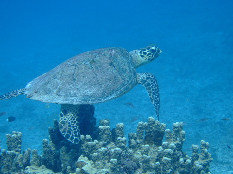 b0104592_2342997.jpg