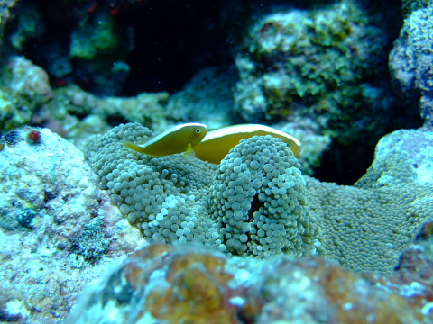 b0104592_2365440.jpg