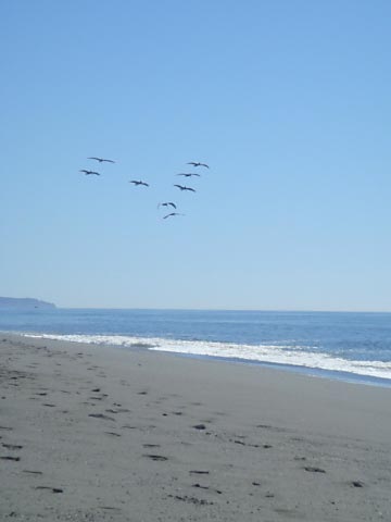 c0103793_12424267.jpg
