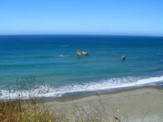 c0103793_1385643.jpg