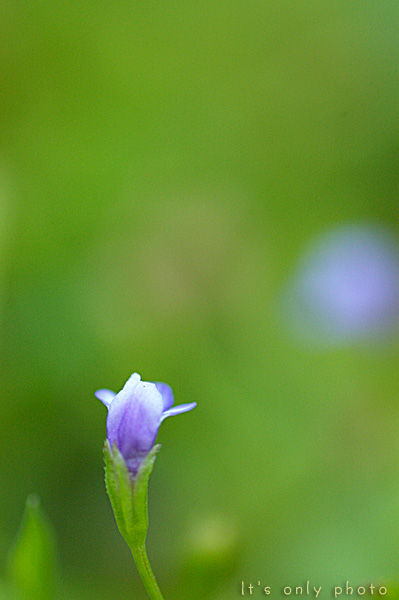 e0008800_0294049.jpg