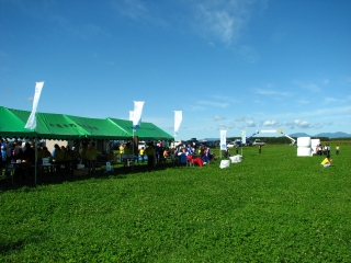 f0020302_20215021.jpg
