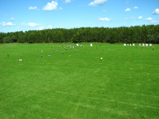 f0020302_20323364.jpg