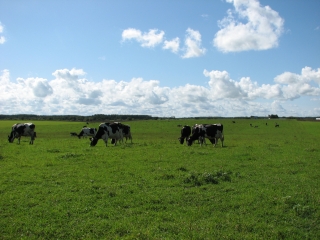 f0020302_20335916.jpg
