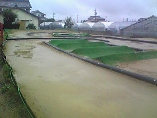 d0070007_2254710.jpg