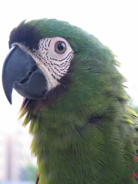 d0081210_1653168.jpg