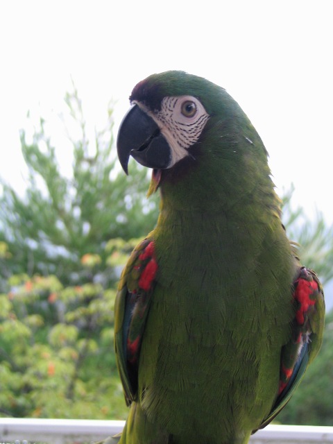 d0081210_166261.jpg