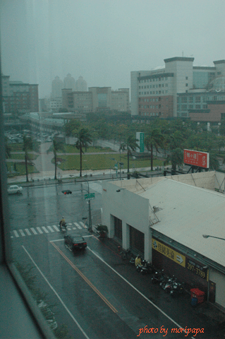 a0094711_11112946.gif