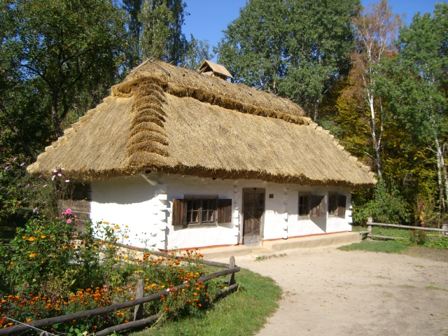 d0078311_1537211.jpg