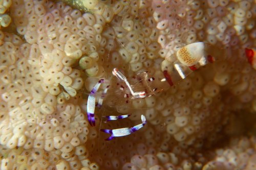 e0101911_10433566.jpg