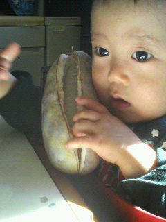 f0031013_0484415.jpg