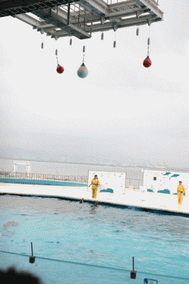 c0089419_23552953.gif