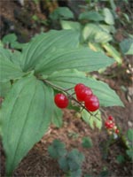 b0034422_229757.jpg