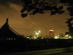 d0002224_0411517.gif