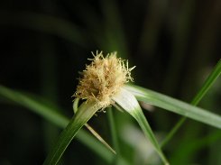b0031925_14759100.jpg