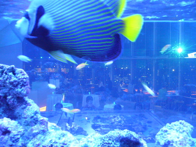c0104529_14791.jpg