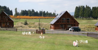 f0054731_135754.jpg