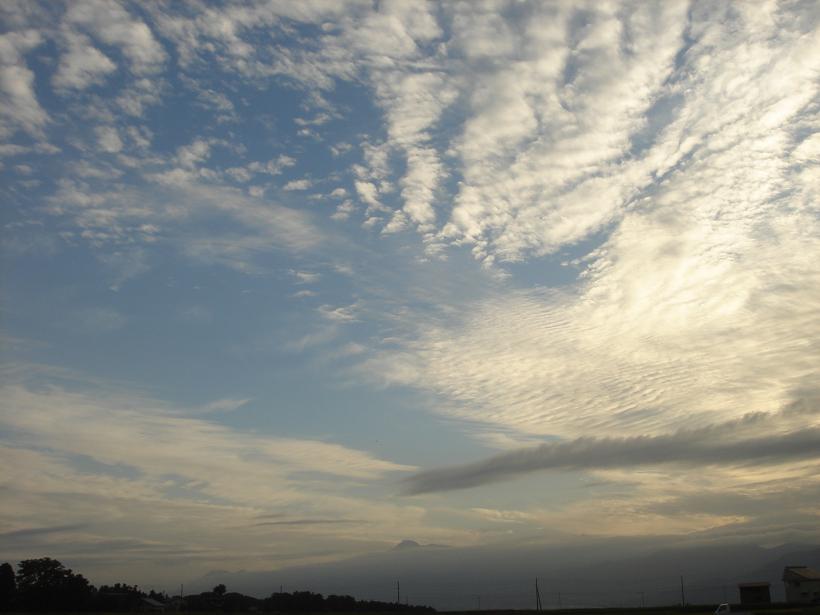f0131535_129538.jpg