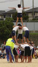 c0136736_1350634.gif