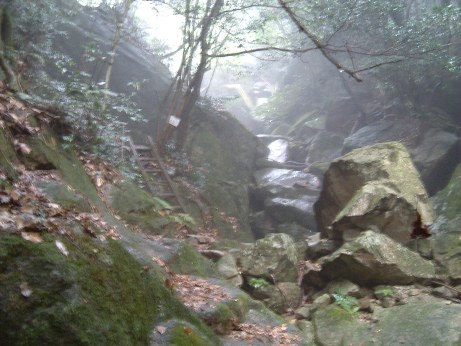 c0077338_1648467.jpg
