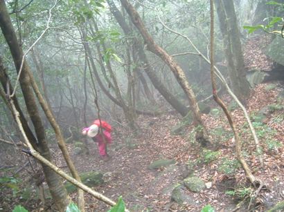 c0077338_1649125.jpg