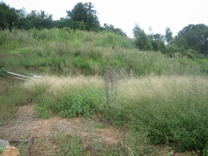 f0148649_2261030.jpg