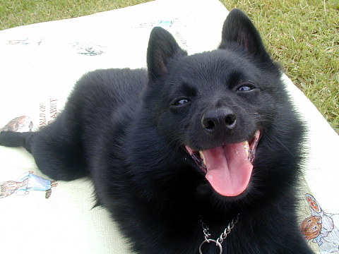 a0009750_2146497.jpg