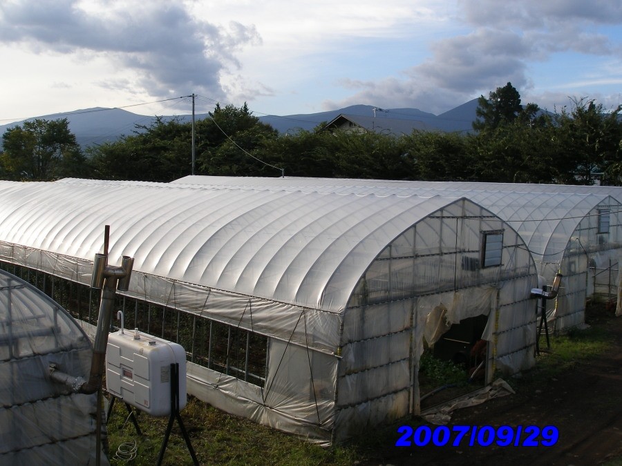 c0037553_754673.jpg