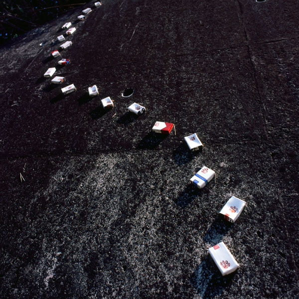 e0017053_22591235.jpg