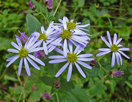 a0001354_2148588.jpg