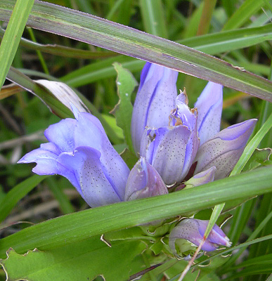 a0001354_21531378.jpg