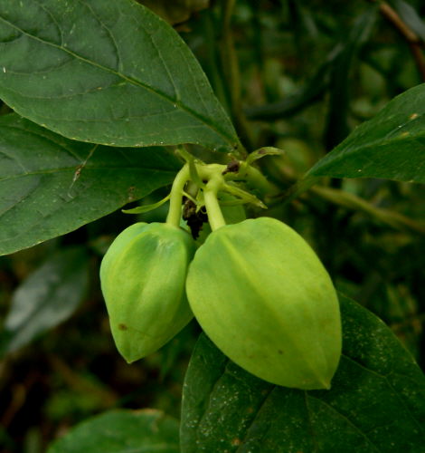 d0091754_18371430.jpg