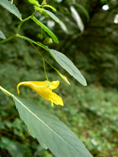 d0091754_38649.jpg
