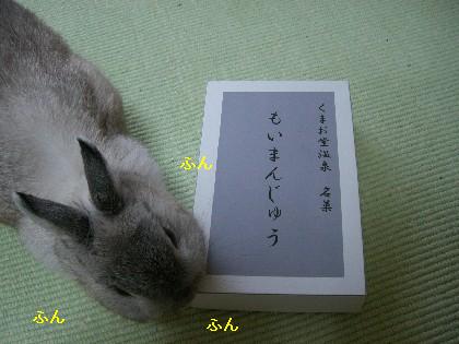 f0104057_1246977.jpg