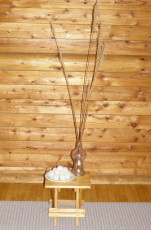 b0086858_2051389.jpg