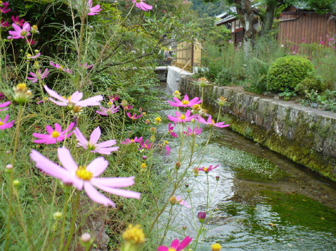 a0063364_16272395.jpg