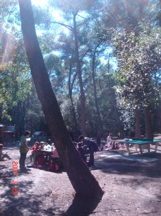 f0136579_5504268.jpg