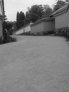 f0100480_13155296.jpg