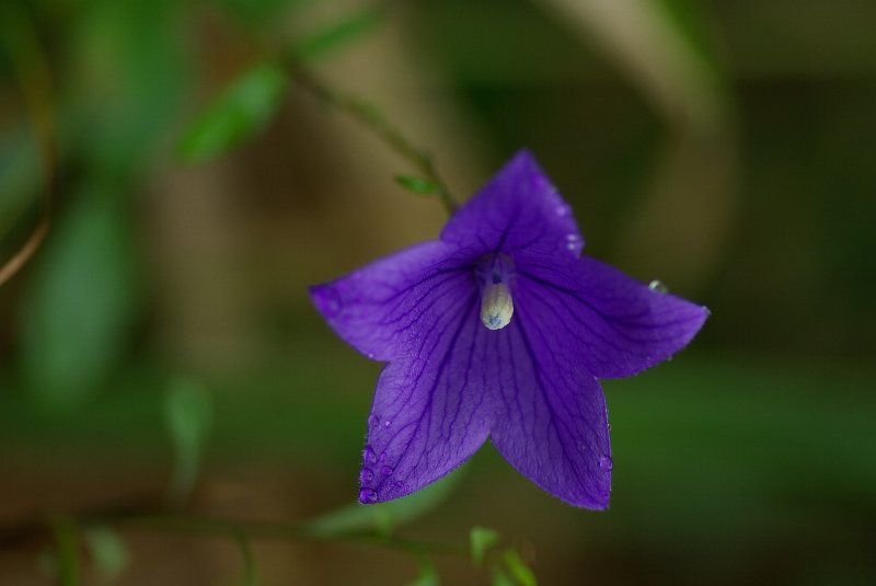 a0076683_19322776.jpg