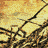 d0076783_23172484.gif