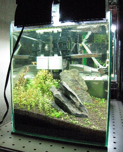 c0074591_174554100.jpg