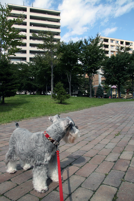f0001895_14471945.jpg