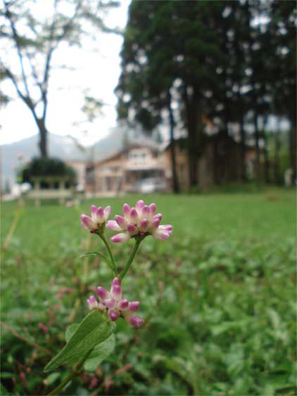 a0061599_745530.jpg