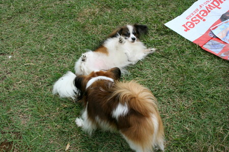 c0044199_23172261.jpg